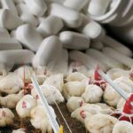 image_editor_output_image-1626029277-1764856057940