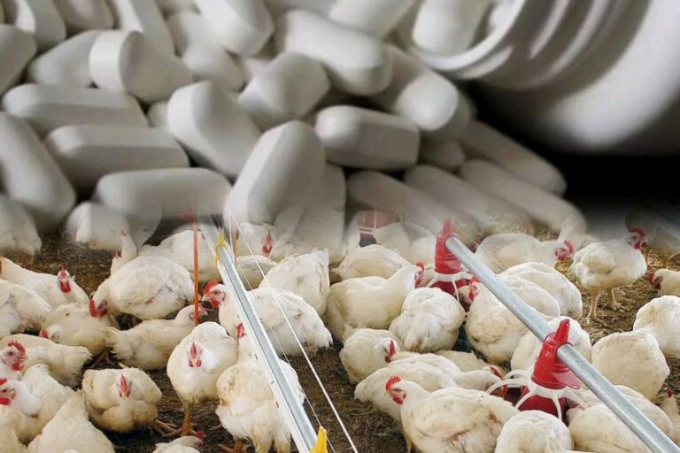 image_editor_output_image-1626029277-1764856057940