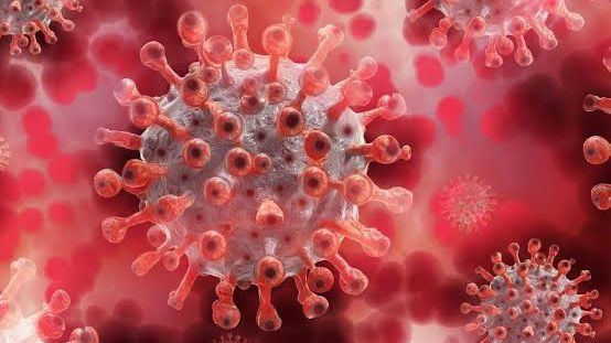 image_editor_output_image2009354782-17653941174537027329728678833265 EUA Abrem Investigação Sobre Possíveis Mortes Ligadas às Vacinas Contra a Covid-19