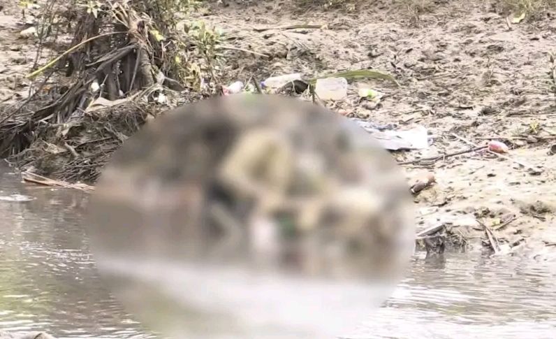 image_editor_output_image348784762-17669303898897497763693650172629 Terceiro Corpo Encontrado em Vala Aprofunda Medo e Insegurança em Quelimane