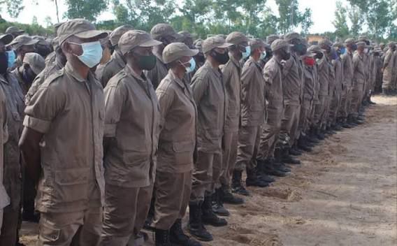 images2845294513541569022202122 Abusos e Sextortion nas Forças de Defesa e Segurança: A Verdade de Matalane